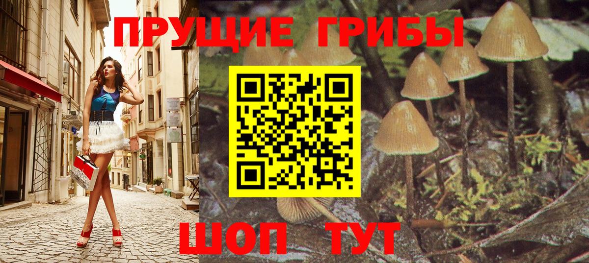 Псилоцибиновые грибы Psilocybe Выкса