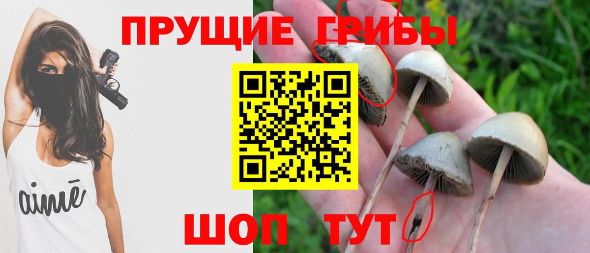 Выкса  Галлюциногенные грибы Magic Shrooms  Вход с VPN 